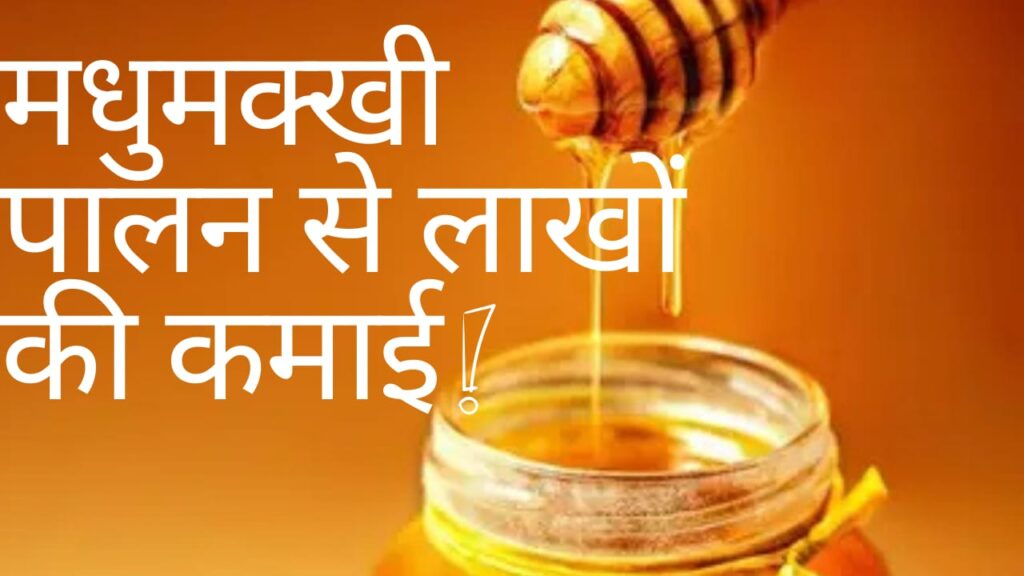 Home whatsapp image 2025 08 29 at 22.27.02 1e67735a