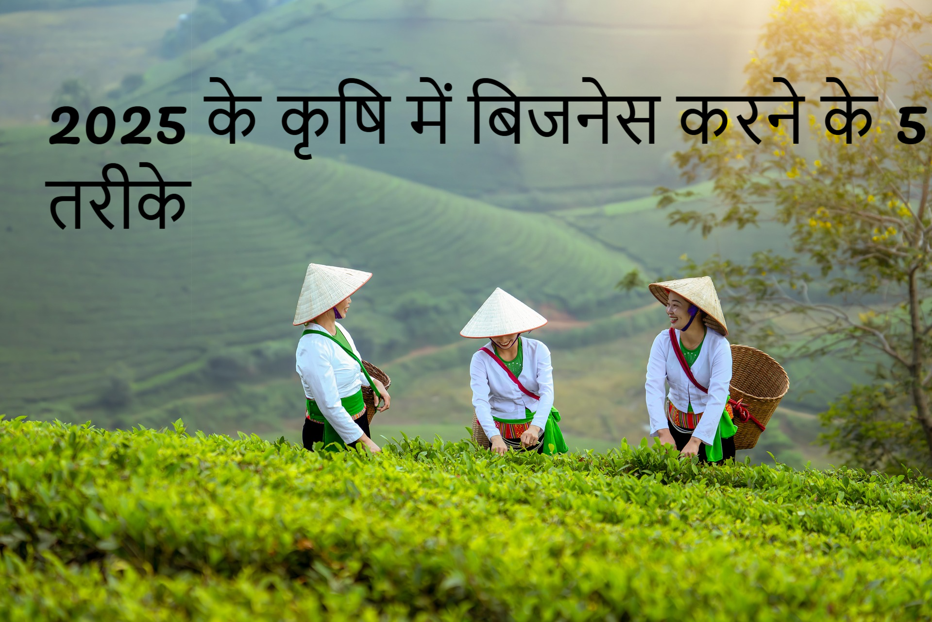 Top 5 Customized Agriculture Business Ideas for New Farmers in India (2025)